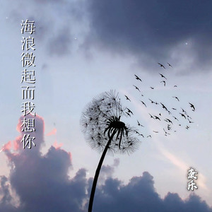 海浪微起而我想你
