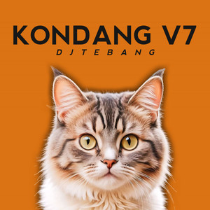 Kondang, Vol. VII