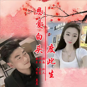 《恩爱白头度此生》合辑