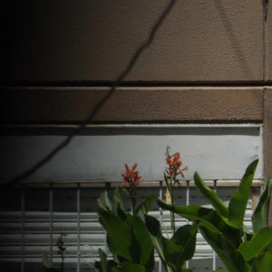 家で待ってますよ。