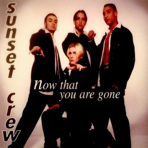 Now That You Are Gone (Radio Mix)