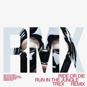 Ride or Die (Trex Remix)