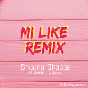 Mi Like(feat. Sne & Ms Banks) (Remix|Explicit)