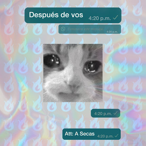 Después de Vos