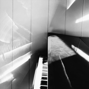 As Light of Mourning Finally Arrives