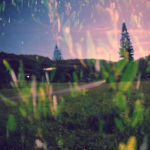 He Typed ROFL With A Blank Face (feat. bristles on the carapace)