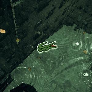Coccodrilli(feat. G-Mask) (Explicit)
