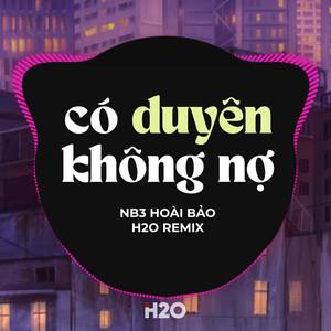 Có Duyên Không Nợ (Remix)