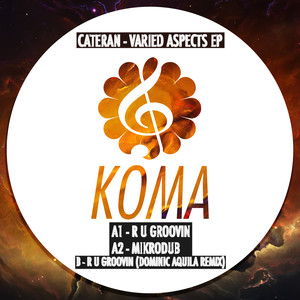 R U Groovin (Dominic Aquila Remix)