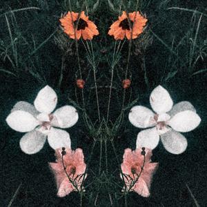 Designer tears (Explicit)