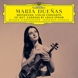 Violin Concerto in D Major, Op. 61 - Beethoven: Violin Concerto in D Major, Op. 61: I. Allegro ma non troppo (Cadenza: Spohr)