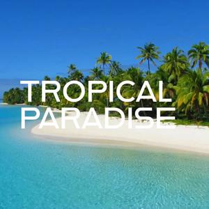 Tropical Paradise