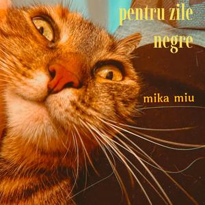 Pentru Zile Negre