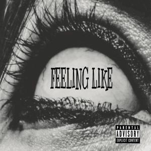 Feeling Like (Explicit)
