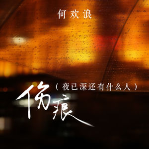 伤痕 (夜已深还有什么人)