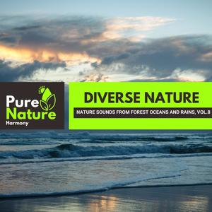 Diverse Nature - Nature Sounds from Forest Oceans and Rains, Vol.8