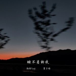 睡不着的夜