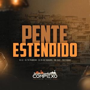 PENTE ESTENDIDO (feat. DJ TH DO PRIMEIRO, DJ 2K DO TAQUARIL, MC Saci, Mc Pretchako & Complexo dos Hits)