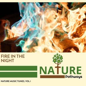 Fire in the Night - Nature Music Tunes, Vol.1