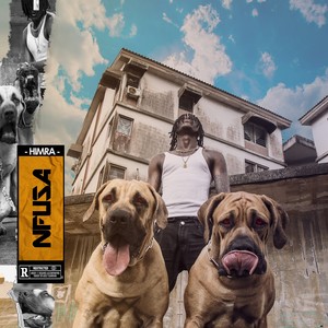Yango (Explicit)
