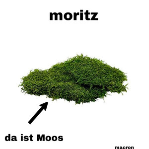 Moritz da Ist Moos (Explicit)