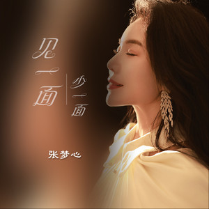 见一面少一面 (深情版)