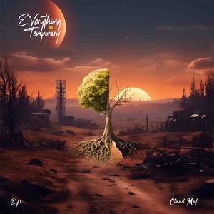 Everything Is Temporary  - EP