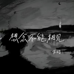 苏皓 - 想念不能相见 (DJ版)