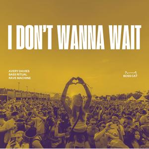 I Don't Wanna Wait (Techno)