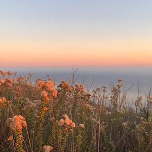 Sunset(feat. Ebmusic)