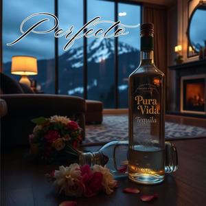 Perfecto (feat. Roq-e) (Explicit)