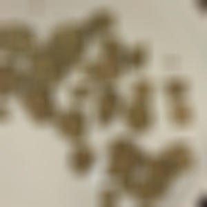 KANA (feat. Puba) (Explicit)