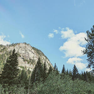 The Way You Look Tonight (COVER版)