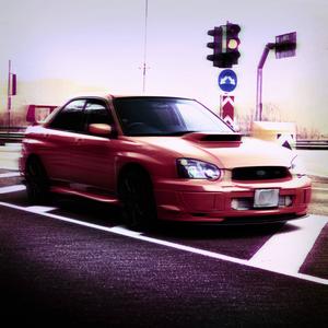 NEVER LEARN. (Explicit)