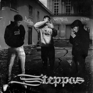 STEPPAS (Explicit)