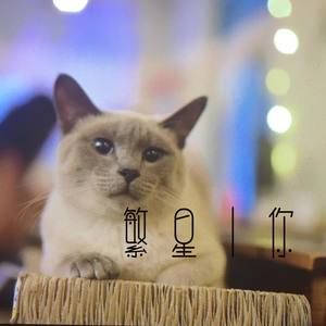 繁星·你 (Demo)