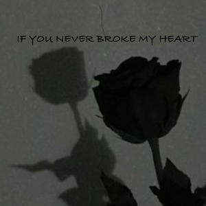 If you never broke my Heart