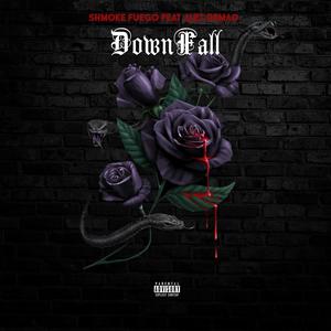 Downfall (feat. Alex Demao) [Explicit]