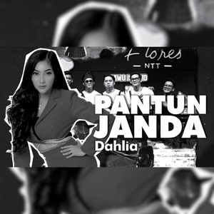 Pantun Janda (Cover)