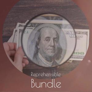 Reprehensible Bundle