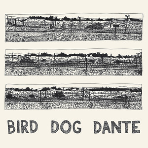 Bird Dog Dante