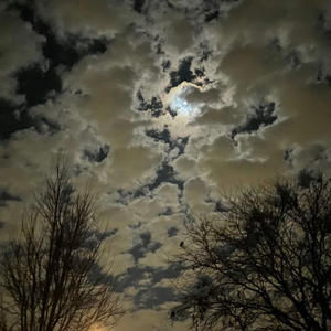 Give it up (feat. ArcAng3L)