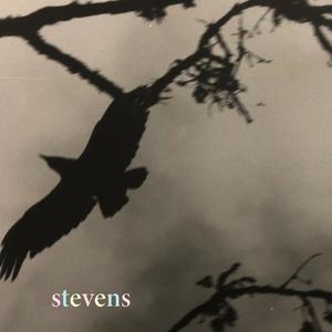 Stevens EP