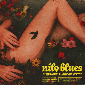 She Like It (Explicit)