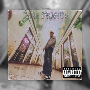 Fake Friends (Explicit)