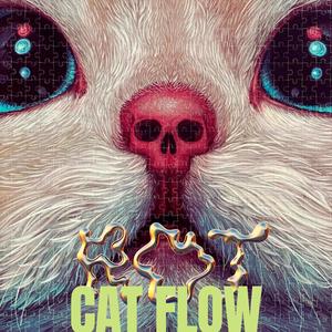 Cat Flow