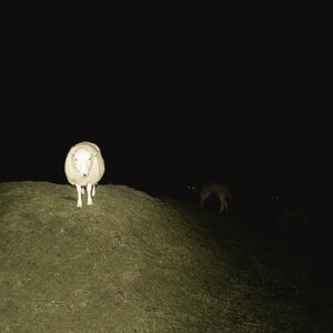 TV DINNER (feat. Larry June) (Explicit)