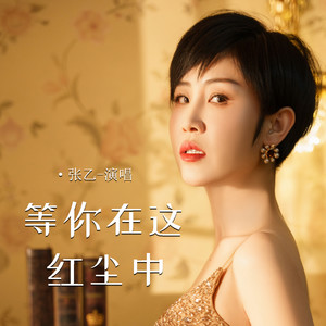 等你在这红尘中