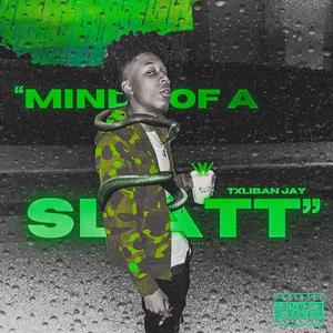 Mind of a Slatt (Explicit)