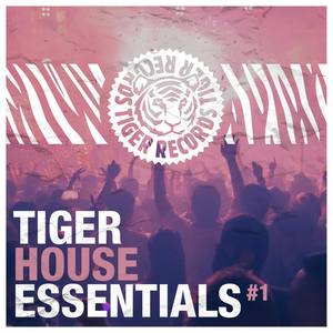 Nothings Gonna Hurt You (John Jacobsen Remix)